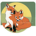 Red Fox Kits